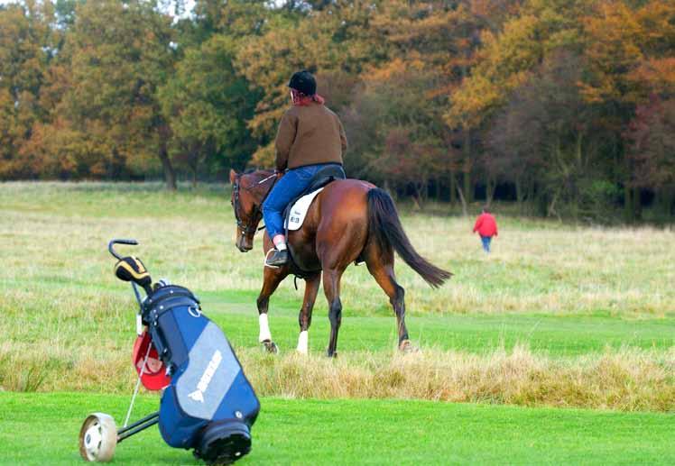 Golfing and horse riding at Copenhagen Golf Club The golf course as a social and sports arena Copenhagen golf club in Denmark leases its land, which is located in Jägerborg Animal Park.