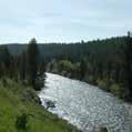 Originating in Yellowstone National Park, nearly one mile of the wild freestone Fall River bisects the ranch as it flows
