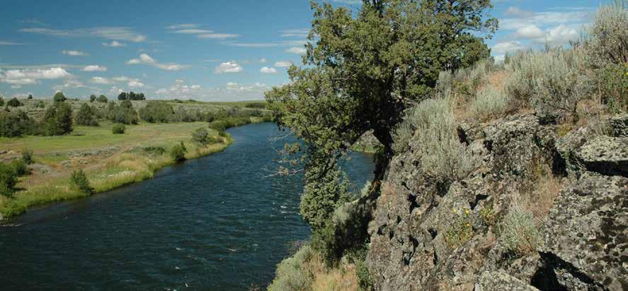 FALL RIVER RANCH NEARBY LIVE WATER Nearby Live Water: Live water in the immediate vicinity consists of the Henry s Fork, Teton River and the Fall River while the famed South Fork of the Snake River