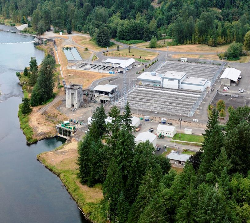 Cowlitz Salmon Hatchery Thursday, August 31 st, 2017 Location Holiday Inn Express and Suites, Chehalis - Centralia 2017 APB Business Meeting