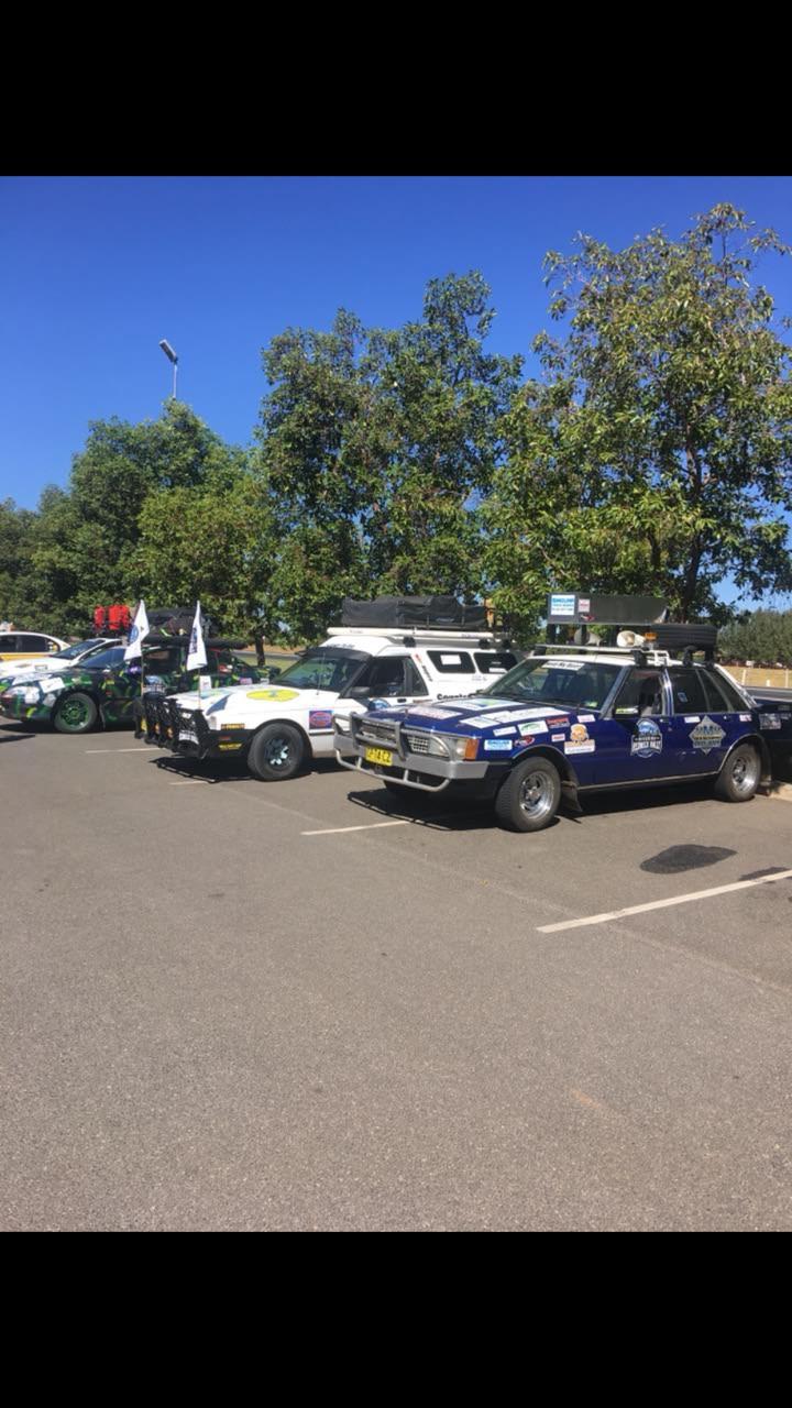 Rally cars. 60 cars participated.