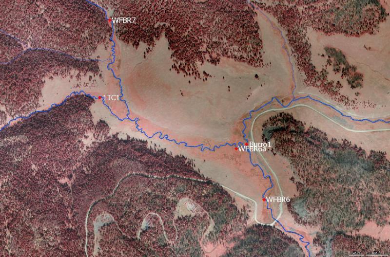 tributaries. We are discussing the possibility of adding an additional dozen in the spring. We have also provided the Apache Sitgreaves National Forest with dissolved oxygen and conductivity monitors.
