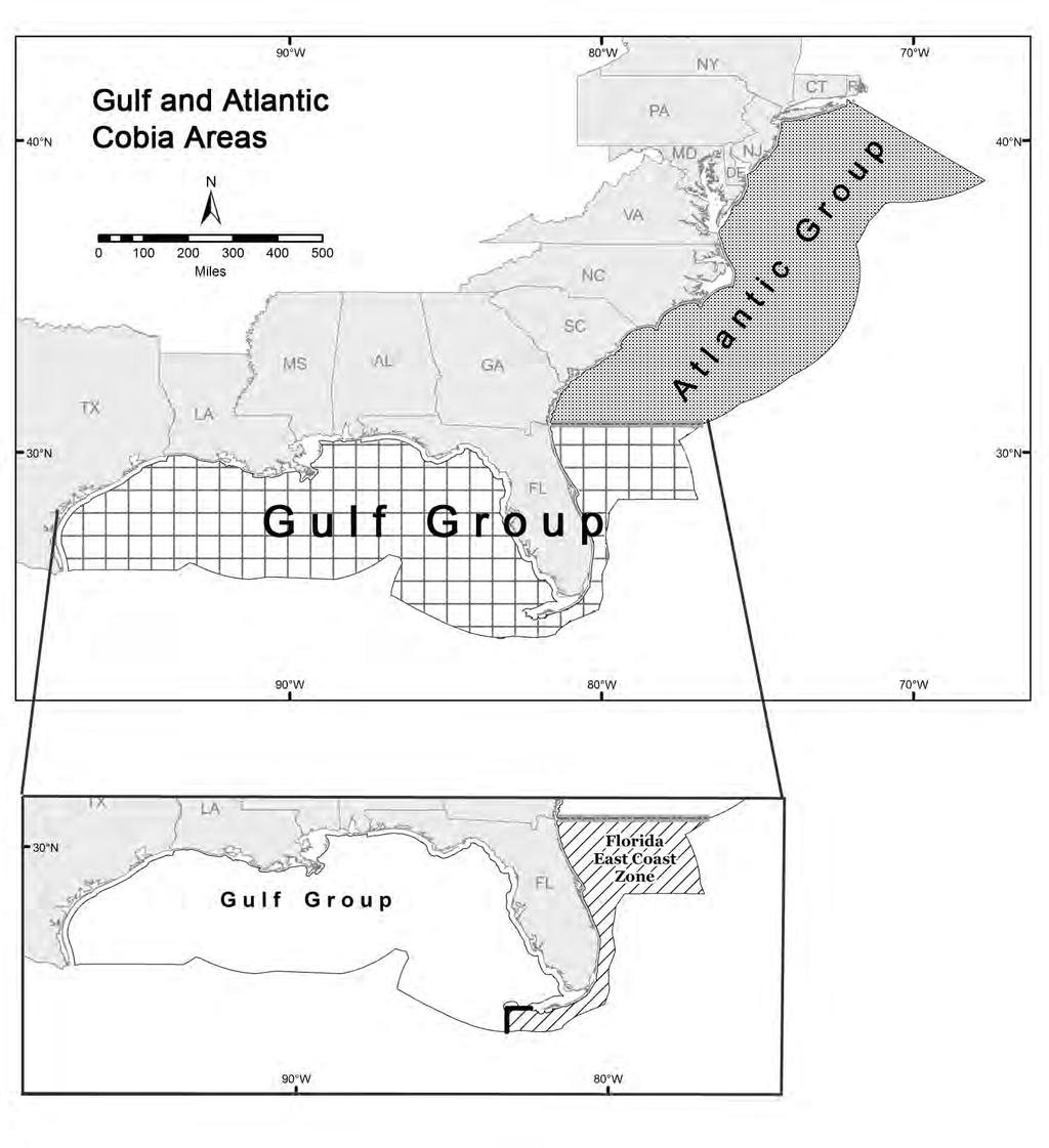 What areas would be affected? The action in Amendment 30 would apply to recreational fishermen harvesting Atlantic cobia in federal waters from Georgia through New York.