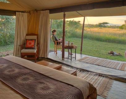 Encounter Mara Built in total harmony with the land, Encounter Mara is an authentic safari camp which blends seamlessly with the bush.