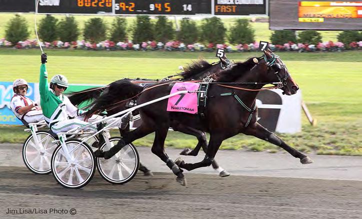 FATHER PATRICK & TRIXTON JOIN NJ STALLION RANKS IN 2015 Hambletonian winner Trixton and Three-Year-Old Trotting Colt of the Year Father Patrick have joined the New Jersey stallion ranks in 2015.