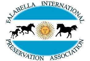 Name the Newsletter Contest see inside! JUNE 2011 Another WIN for Falabella Driving Machine Shades Of Blue s Own BUDDY FALABELLA INTERNATIONAL PRSERVATION ASSOCIATION F.I.P.A. 2011 Show Year Starts With a BANG!