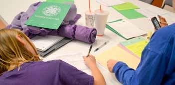2017. Bring your journals, pictures and records for an interactive session. Record keeping is one of the skills that youth learn in 4-H.