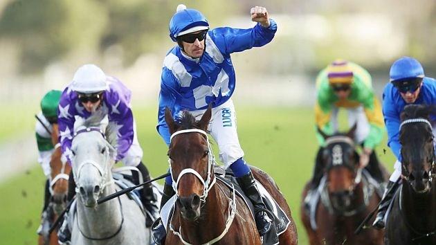 Owners and her trainer choked back tears (or in some cases didn t choke them back) brought on as much by the fact of winning a new Grade 1 race named The Winx Stakes as by the remarkable proof that