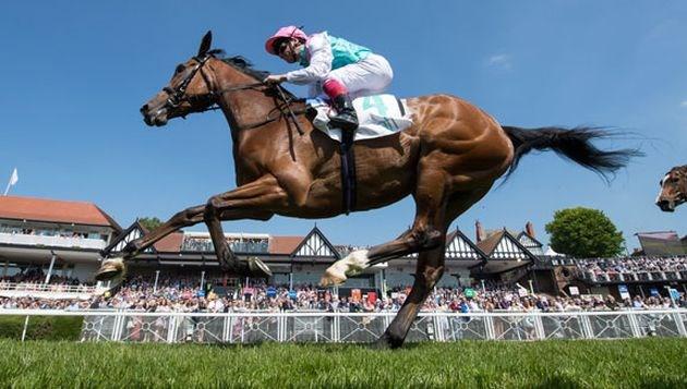 ENABLE (Frankie Dettori) winning at York. DAVID ALLAN (cont..) run to 130 and 129 when 5 and 6 years of age.