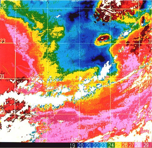 Mesoscale Eddy SST (in C) image of 29 August 1986 derived from AVHRR data showing a