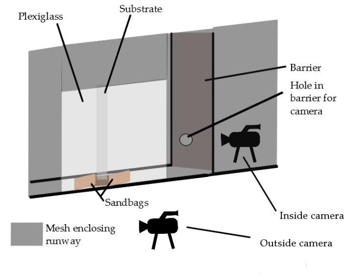 Figure 12: Schematic of the runway setup for kinematic data collection. The substrate is as previously described, a clear PVC pipe mounted to a wooden platform, with sandbags placed on the platform.