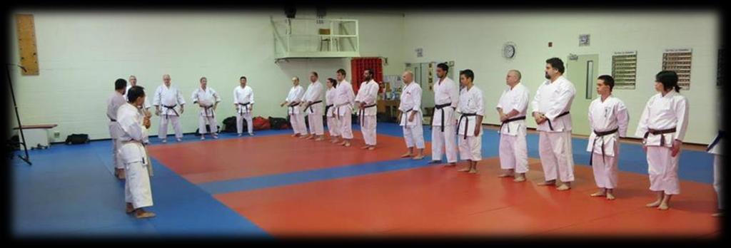 Seiwa Kai Canada Kumite and Kata Seminar Taught by Michael