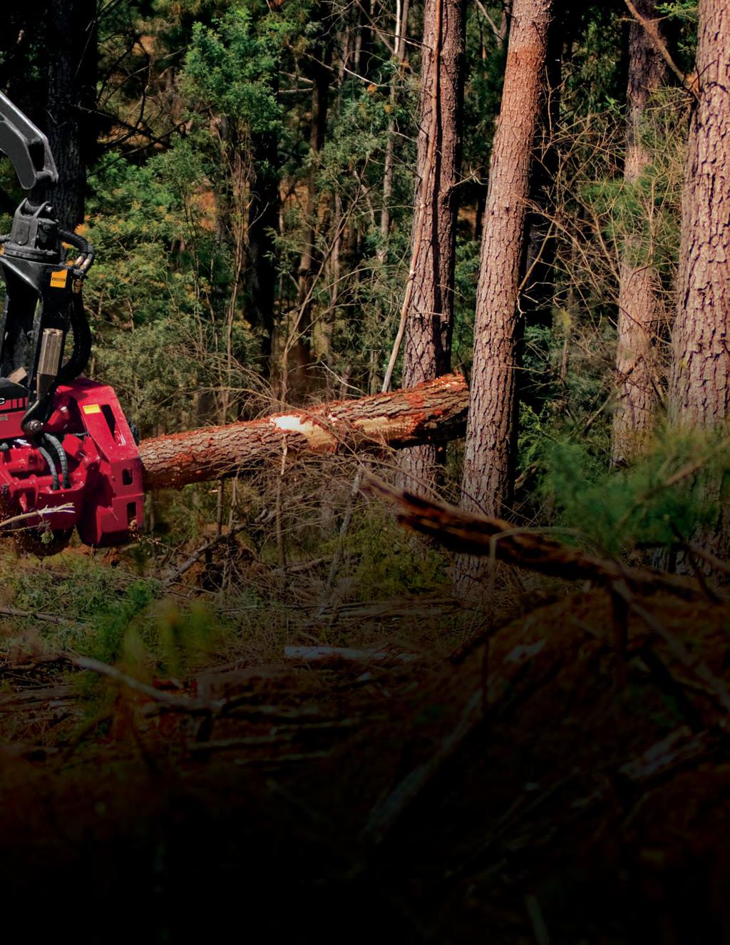 Brawn. And brains. No doubt our forest-tough tracked harvesters are hard workers. But who says that to be more productive, you have to choose between working harder and smarter?