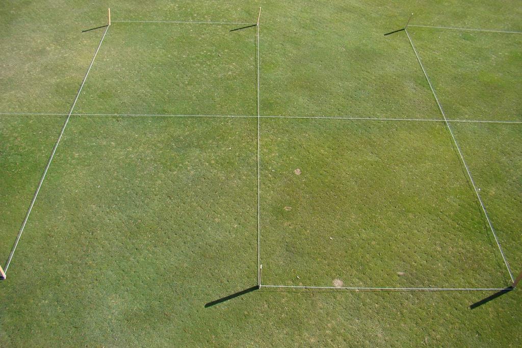 Fig. 10. Snow mold fungicide treatments on a creeping bentgrass/annual bluegrass green at Meadow Lake Resort Golf Course in Columbia Falls, MT. Rated on 11 Apr 2014.