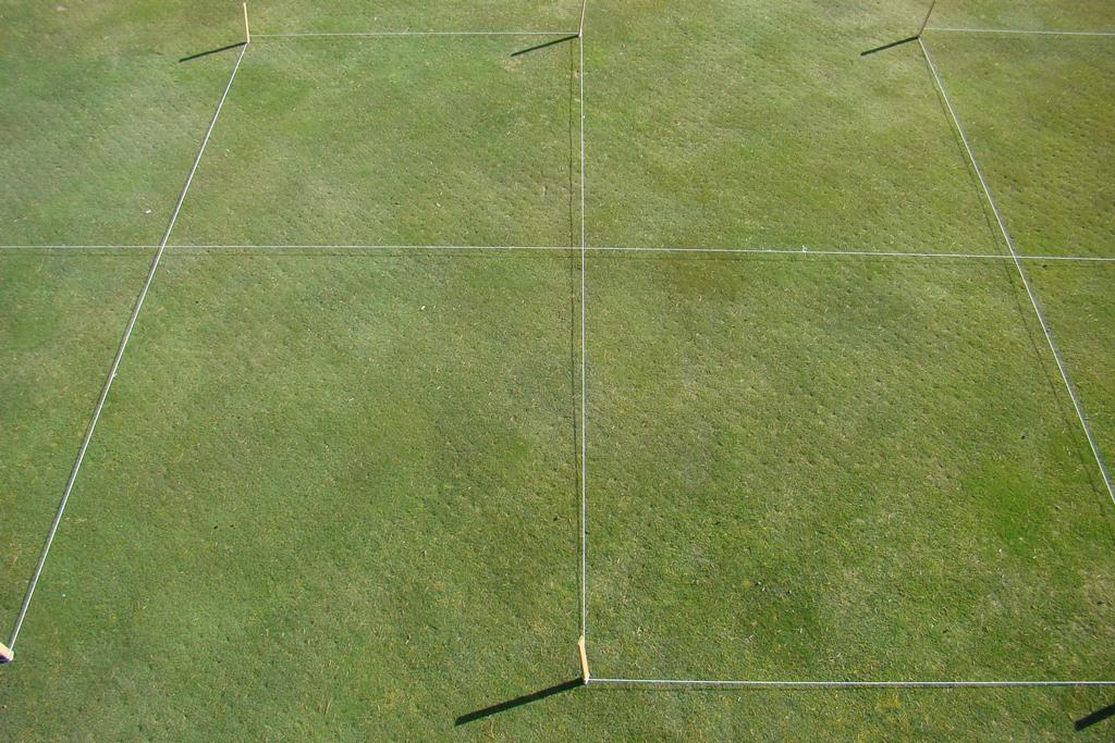 Fig. 12. Snow mold fungicide treatments on a creeping bentgrass/annual bluegrass green at Meadow Lake Resort Golf Course in Columbia Falls, MT. Rated on 11 Apr 2014.