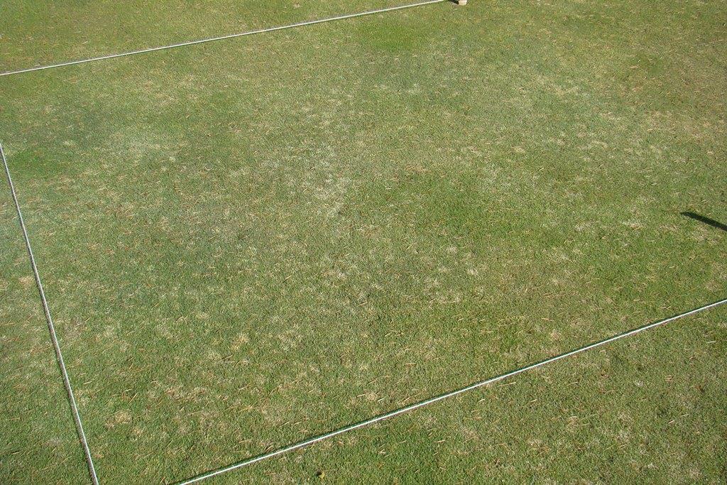 Fig. 14. Snow mold fungicide treatments on a creeping bentgrass/annual bluegrass green at Meadow Lake Resort Golf Course in Columbia Falls, MT. Shows disease-like spots present on parts of the green.
