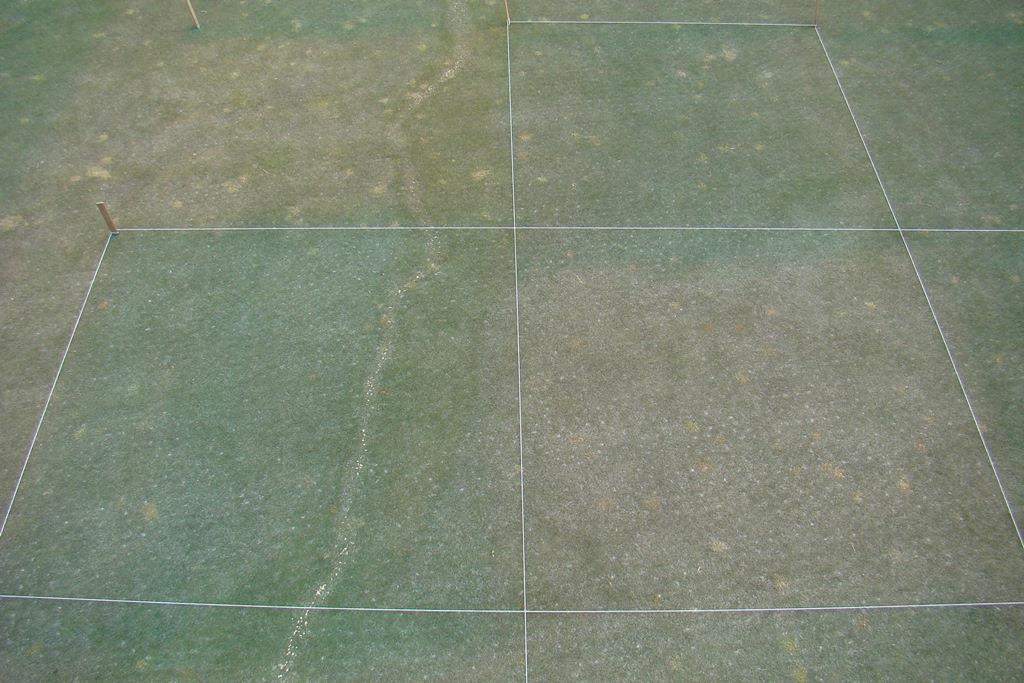 Fig. 15. Snow mold fungicide treatments on a creeping bentgrass/annual bluegrass green at Osprey Meadows Golf Course, Donnelly, ID. Rated on 16 Apr 2014.