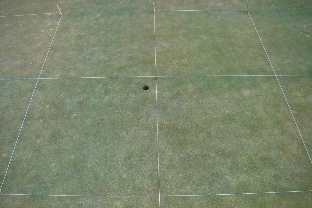 Fig. 17. Snow mold fungicide treatments on a creeping bentgrass/annual bluegrass green at Osprey Meadows Golf Course, Donnelly, ID. Rated on 16 Apr 2014.