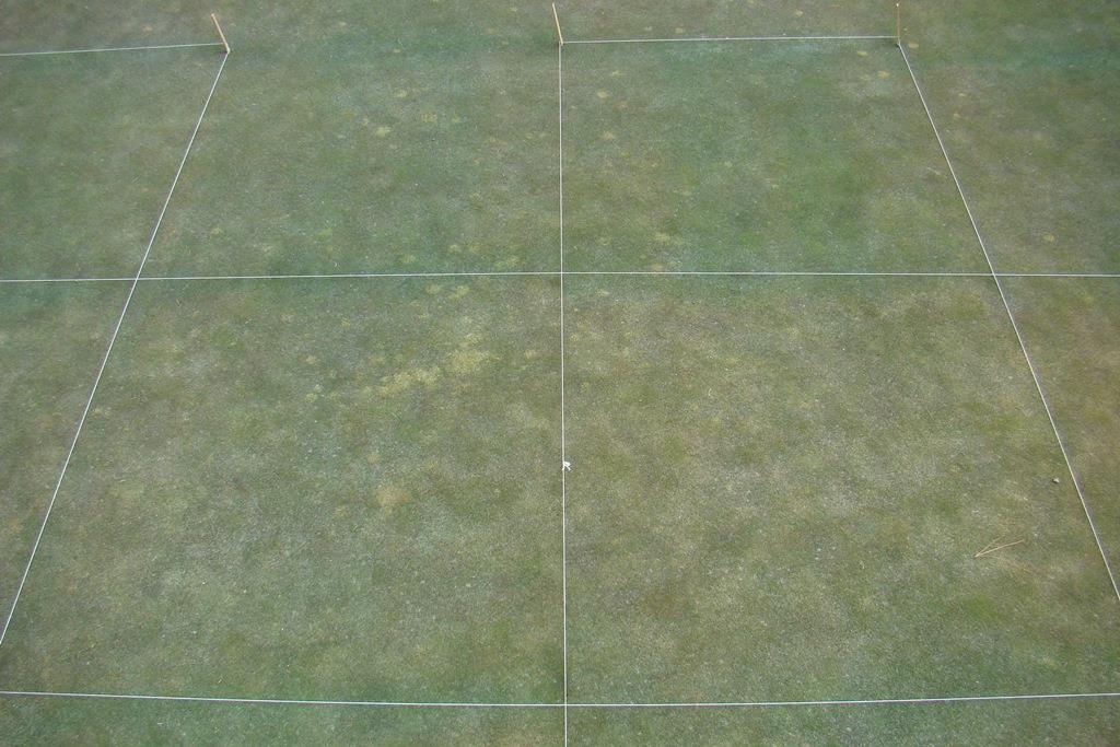 Donnelly, ID Rated: 4/16/14 Snow cover: 135 days Interface 6 fl oz/m + SP102000028297 4 fl oz/m + Interface 6 fl oz/m + Tartan 1 fl oz/m + + 26GT 3 fl oz/m WSU Turfgrass Research Program Fig. 18.