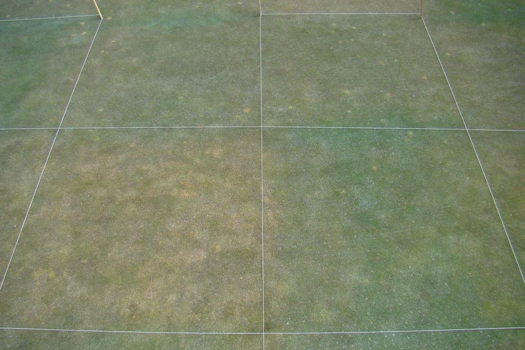 Fig. 19. Snow mold fungicide treatments on a creeping bentgrass/annual bluegrass green at Osprey Meadows Golf Course, Donnelly, ID. Rated on 16 Apr 2014.
