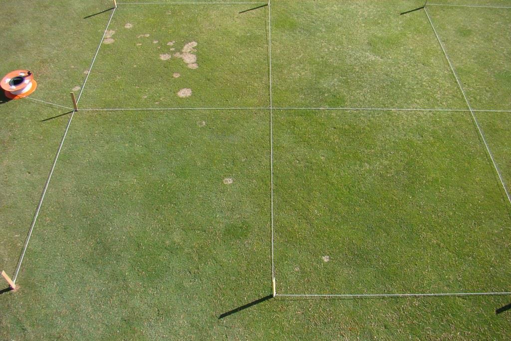 Fig. 8. Snow mold fungicide treatments on a creeping bentgrass/annual bluegrass green at Meadow Lake Resort Golf Course in Columbia Falls, MT. Rated on 11 Apr 2014.