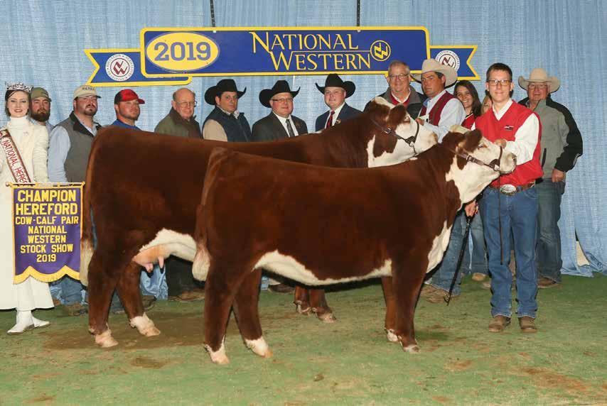EMBRYO OFFERING PCC New Mexico Lady 6002 Dam to Lots 60A and 60B Three-Time National Champion Cow/Calf Pair 60A (4) BANKROLL X 6002 IVF EMBRYOS EMBRYOS Reg#: DOB: Tattoo: BR BELLE AIR 6001 BAR LHG