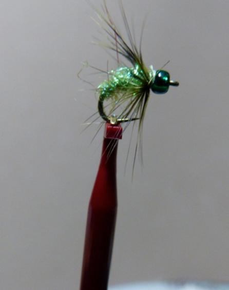 Fly of the Month for February 2013 Caddis Wet Fly By: Ray Narbaitz Thanks to the tutelage of long time fishing friends like Jim Gaumer and Dick Murrill, I like to fish Soft Hackle Flies.