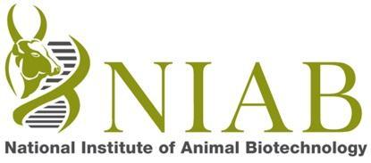 NATIONAL INSTITUTE OF ANIMAL BIOTECHNOLOGY (NIAB) Aryabhata Block, C.R.