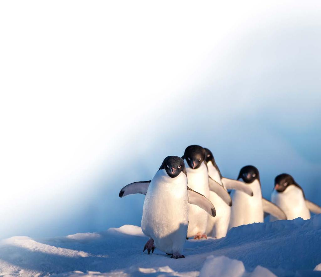 LESSON PLAN 5 MOVEMENT AND MIGRATION Grades 4-6 Content Areas Science & Social Studies Where Do Adélie Penguins Migrate In Winter? ESSENTIAL QUESTIONS Where do Adélie penguins migrate in winter?
