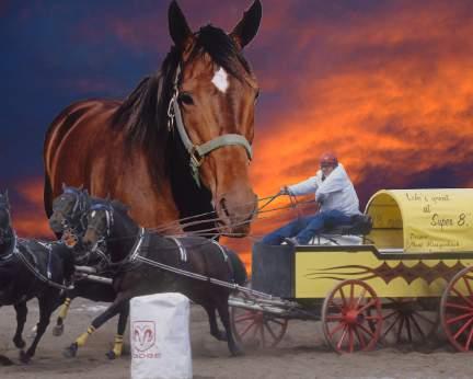 Outriding Horses Rae Croteau, Jr.