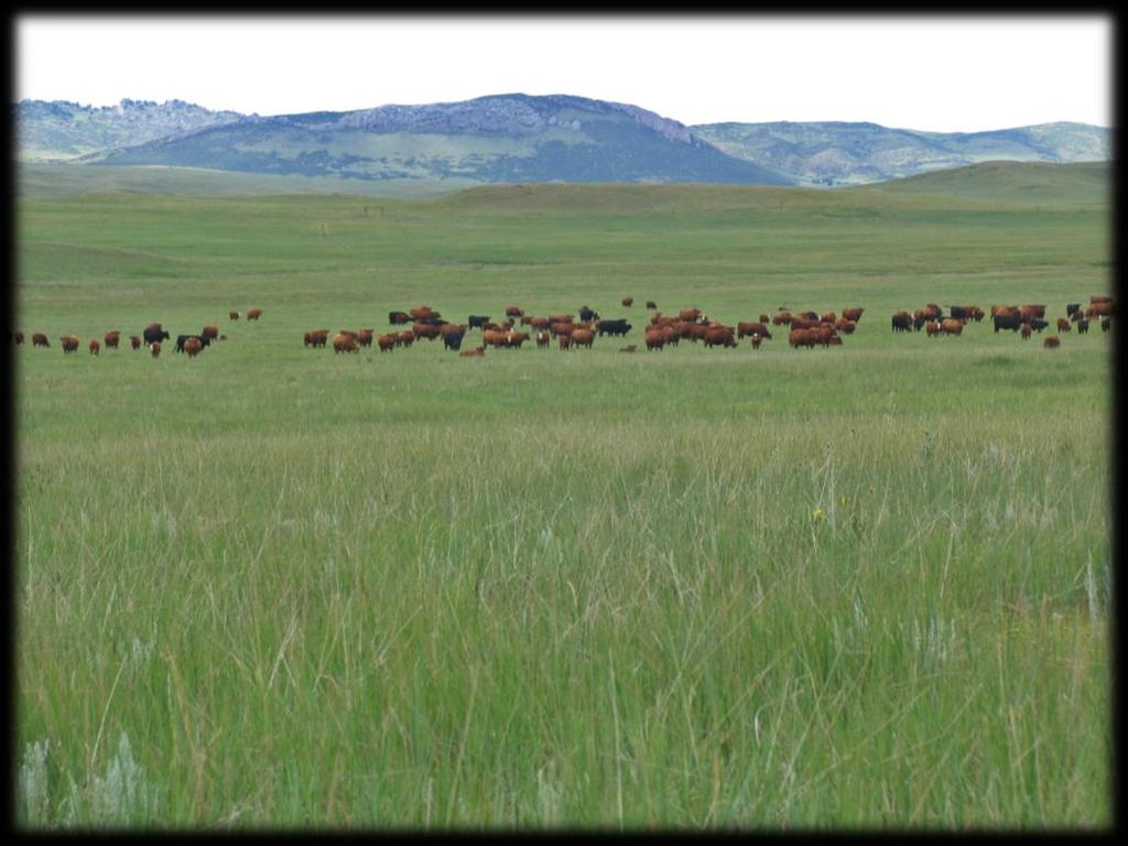The Historic Francis Ranch Laramie A working cow-calf or County, yearling operation located Wyoming the southwestern portion of Laramie County one the finest ranches in southeastern Wyoming.