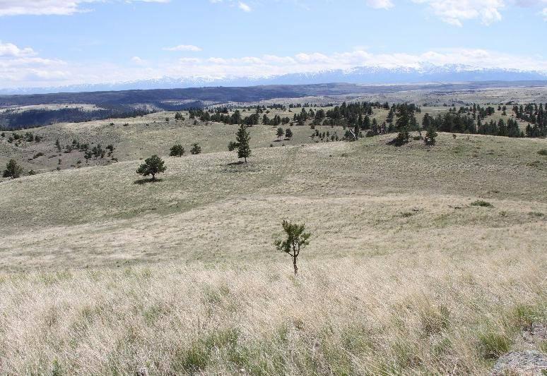 HIGH PLATEAU LOCATION: YELLOWSTONE VALLEY VISTA: Located approximately 14 miles east of Big Timber, 6.5 miles west of Reed Point and 60 miles west of Billings.