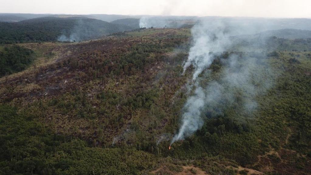 MEP March 2019 REPORT An aerial photo of the Mau Forest on fire. GENERAL The headline for the month of March was most definitely the fire in the Mau Forest.