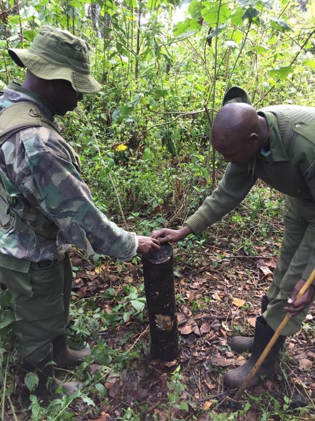 The drop spear targeting elephants confiscated in the Mau.