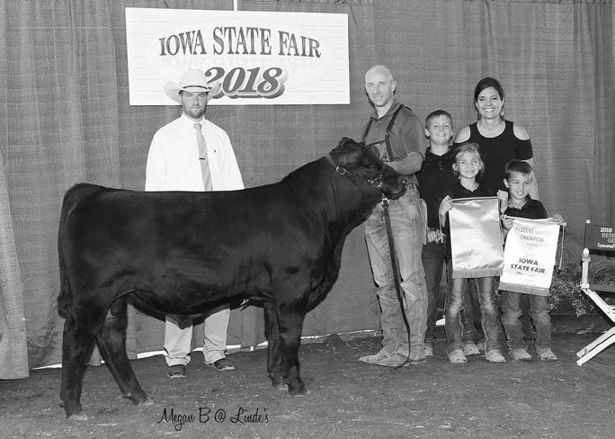 1 - CIBS BEST SHOT 8417F 2018 Iowa State Fair Reserve Grand Champion Gelbvieh