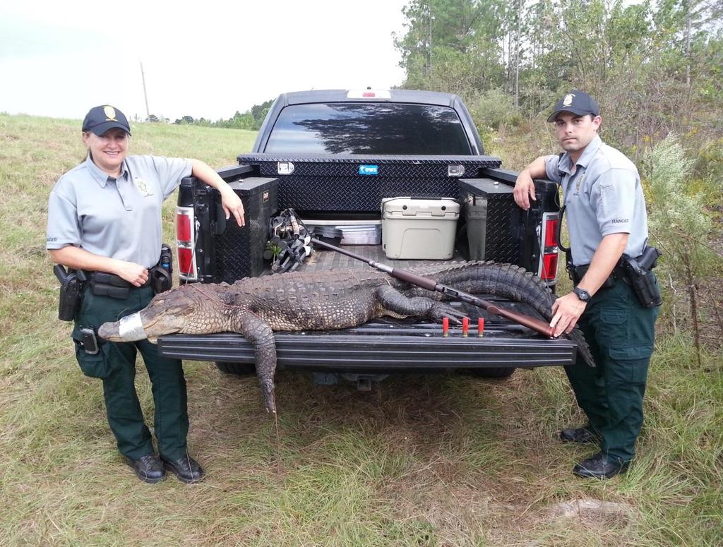 subjects were charged with: hunting with unlawful device, hunting without an alligator license, hunting with illegal weapon, and possession of illegally taken wildlife.
