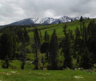 Acreage: Situated on the northern end of the spectacular Absaroka Mountain Range, the Little Mission Creek Ranch consists of five contiguous parcels totaling approximately 586+/- deeded acres.