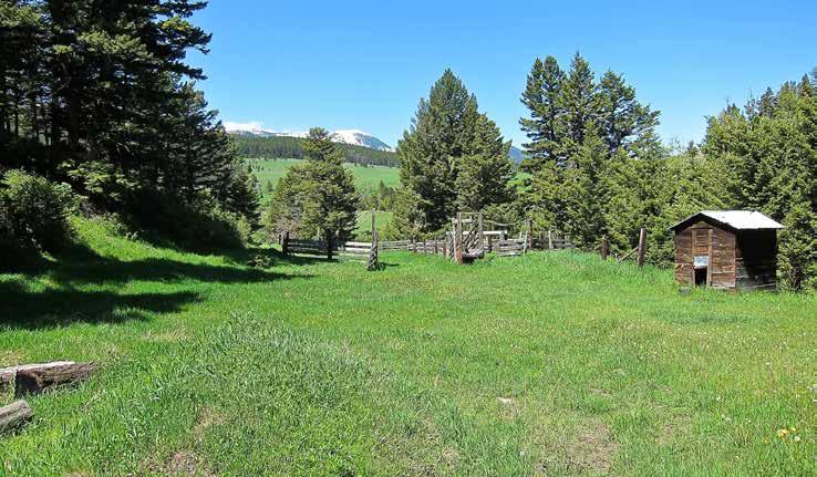 Improvements: The ranch is unimproved except for an old log homestead building, a small set of corrals, perimeter fencing and a limited road system from prior timber thinning.