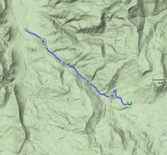 Distance: 4.65 Miles Difficulty: 5 Route Description: This is a nice easy run down gooseberry canyon. The entire leg is on pavement with some steep declines. Your legs will get hammered on this route.