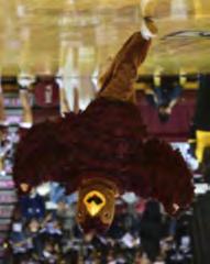 2016-17 SAINT JOSEPH S BASKETBALL 12 THE HAWK One of the most famous mascots in college sports, the Saint Joseph s Hawk celebrates its 60th anniversary in 2015-16.