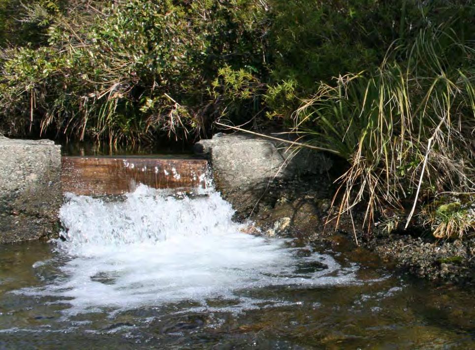 Kōaro were found in low numbers below and above the weir, which is more likely to be related to unsuitable habitat in the direct vicinity of the weir, rather than to major fish passage issues over