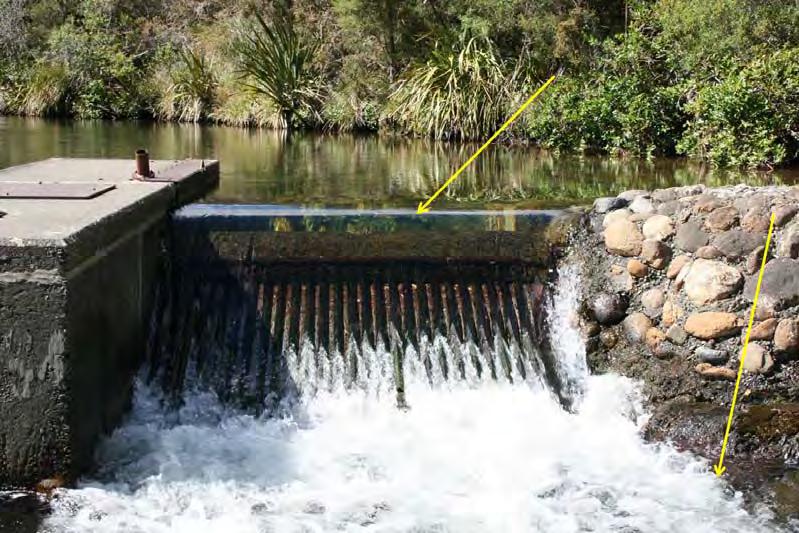 Water from the South Branch is abstracted at an intake grid to supply Nelson City with drinking water (Figure 16).