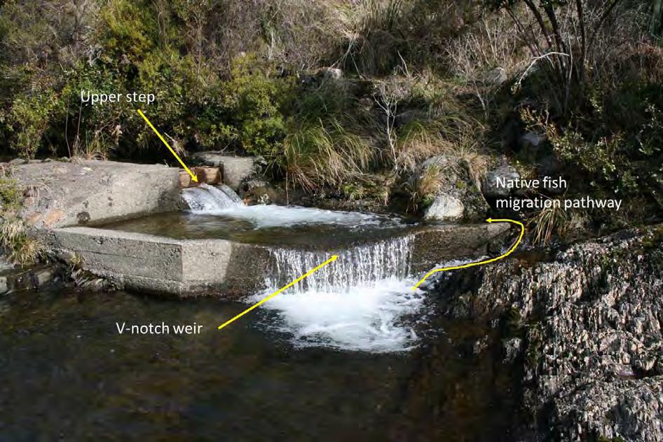 Currently, the existing fish pass provides passage for jumping fish species that are able to leap using the recirculating water below each fall.