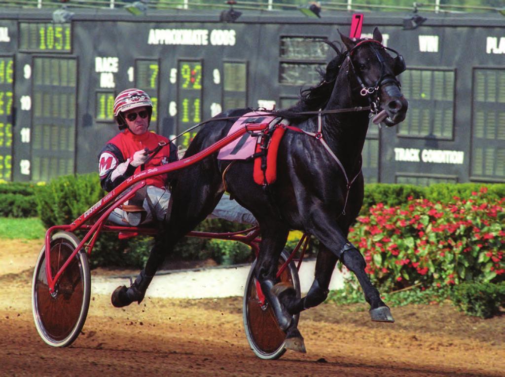 A MAN WITH A MISSION Photo courtesy of USTA Dreamaster was Lakomy's first Hambletonian starter.