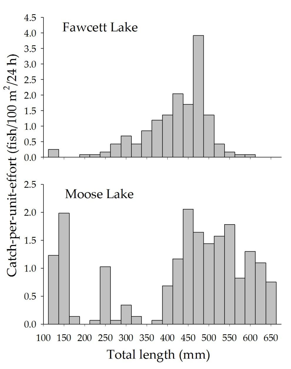 Figure 1. Length-frequency distributions of walleye from Fawcett and Moose lakes, Alberta, during the 2011 gill netting survey.