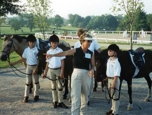 Instruction D Rating: The D Ratings are an introduction to the fun and challenge of riding, establishing a foundation of safety habits and knowledge of the daily care of a pony and tack.