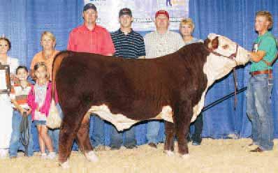 63 +.02 We feel Dynasty is a logical choice for this year s Lot 1.