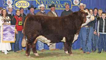 are excited about and want to be a part of. Her flush mate brothers will be our Pen Bulls in Denver this year.