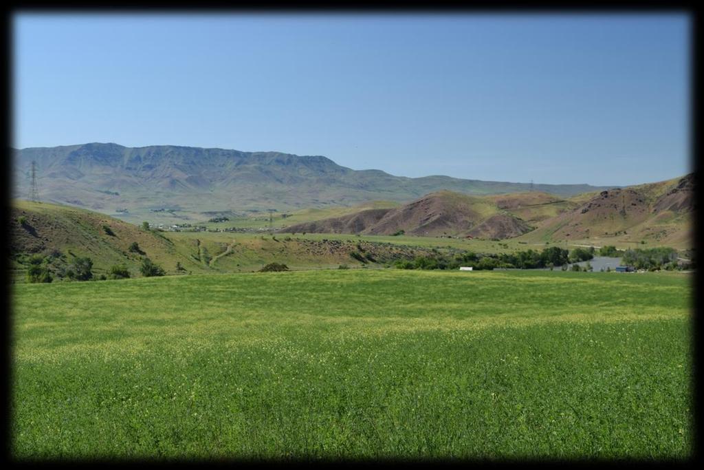 Two productive center-pivot hay fields overlooking the beautiful Payette River, Horseshoe Bend, Idaho EXECUTIVE SUMMARY The Payette Riverview Pivots are two, productive hay fields irrigated by