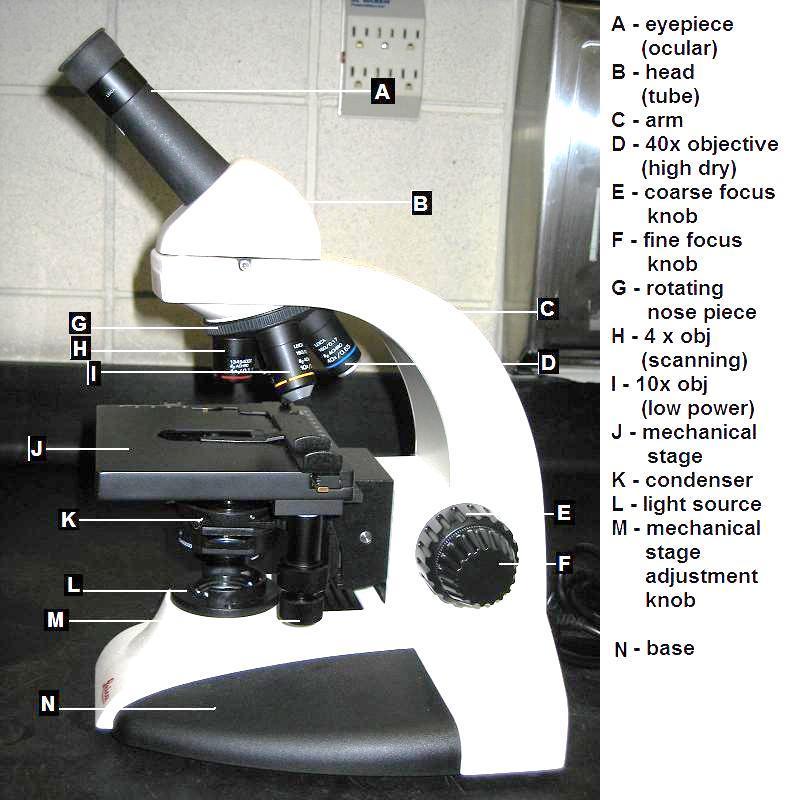 II. Microscope Review A. Introduction The microscope is a delicate and expensive piece of equipment that needs proper care so that it may function well for you and all the other students.
